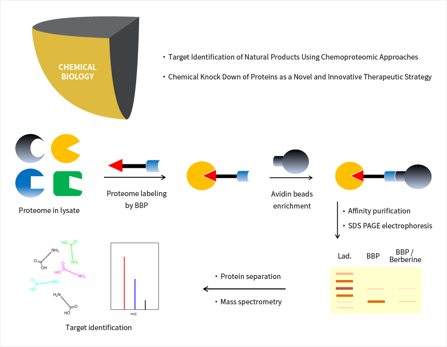 Chemical Biology